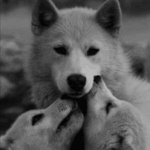 Meet your Posher, Claudia